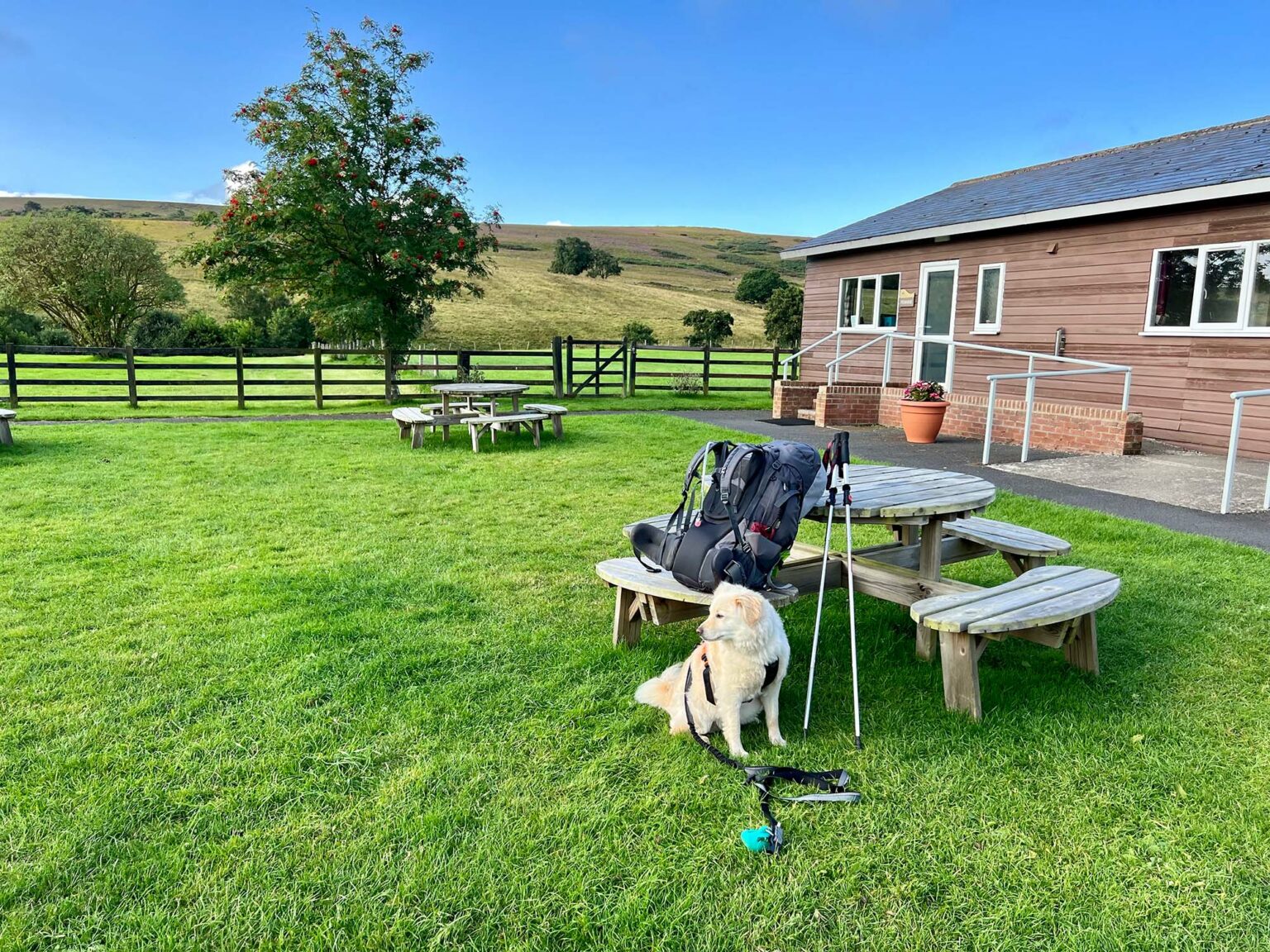 A Dog Friendly Stay In Northumberland At Brown Rigg