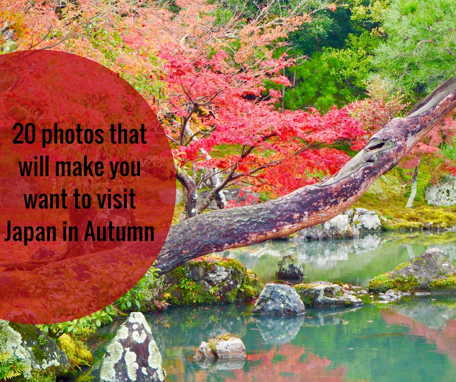 10 Photos That Will Make You Want To Visit Japan In The Autumn