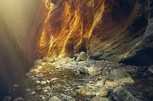 Best Cyprus Trails for Hiking Near Paphos Beaches and Coast