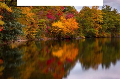 Best Valley Walks UK for a Relaxing Day Out and Scenic Views