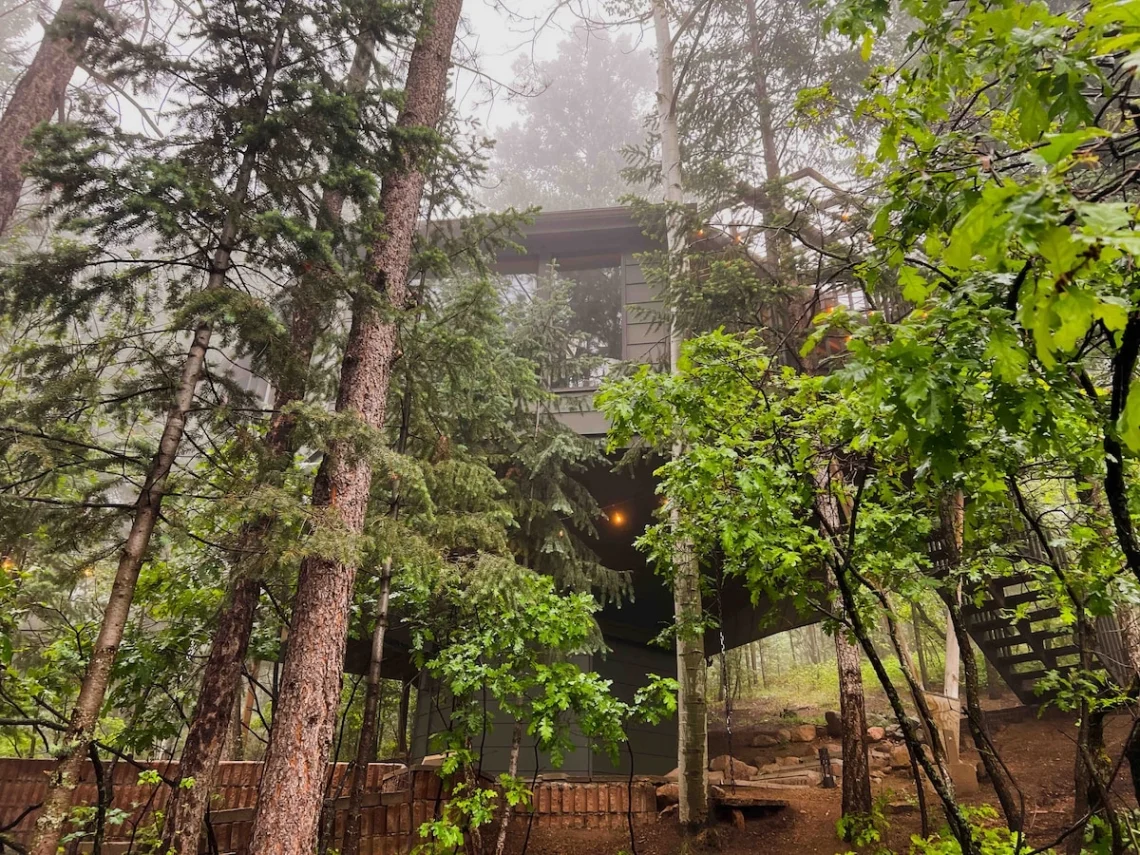 Unique Tree House Stays for Solo Travelers with Privacy and Comfort