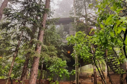 Unique Tree House Stays for Solo Travelers with Privacy and Comfort