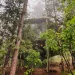 Unique Tree House Stays for Solo Travelers with Privacy and Comfort