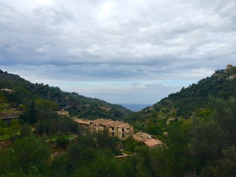 10 reasons to visit Mallorca in the winter?