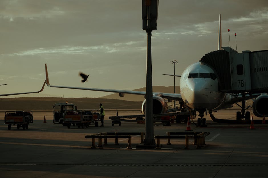 A parked airplane at an airport gate with a boarding bridge and vehicles visible at twilight.