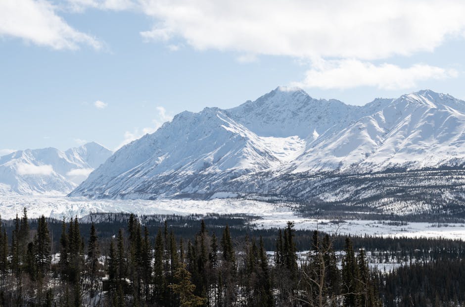 Breathtaking view of snow-covered mountains under a bright winter sky with pine trees in the foreground.