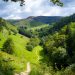 Top 10 Hidden Hiking Trails in the Peak District for Scenic Adventure