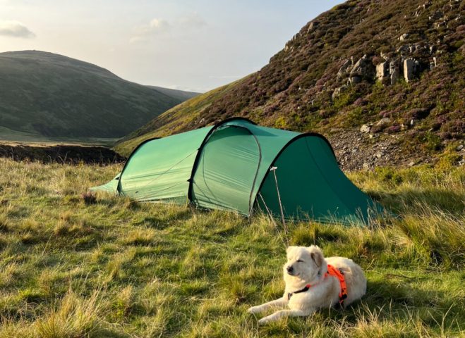 A guide to camping with your dog