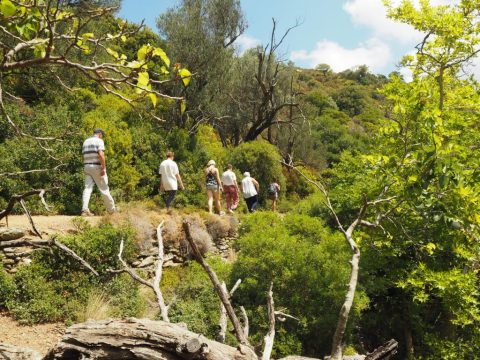Best hiking in Greece – the historic trails of Andros