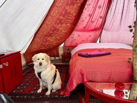 The best off grid glamping in Yorkshire at Coast and Camplight