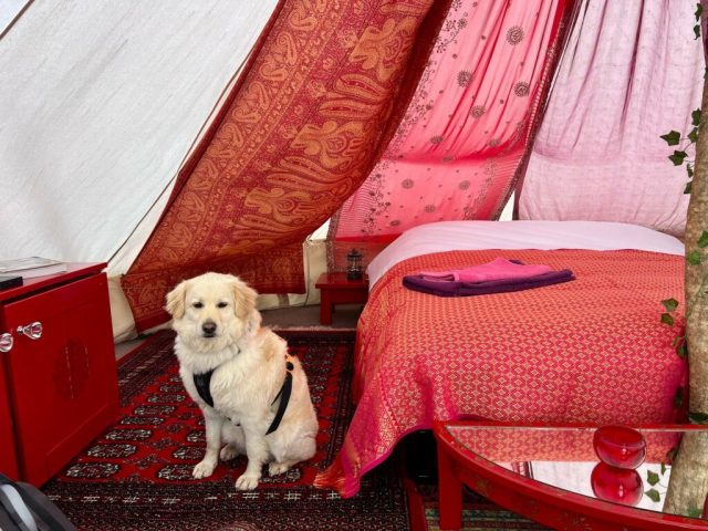 The best off grid glamping in Yorkshire at Coast and Camplight