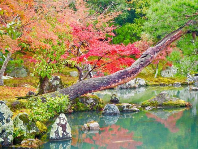 20 photos that will make you want to visit Japan in the Autumn
