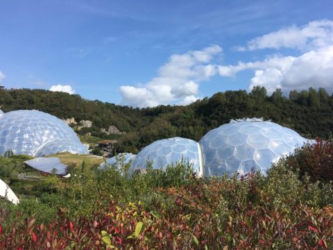 The best easy circular walks in Cornwall