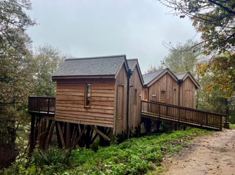 A luxury eco Tree house stay on the edge of the Peak District