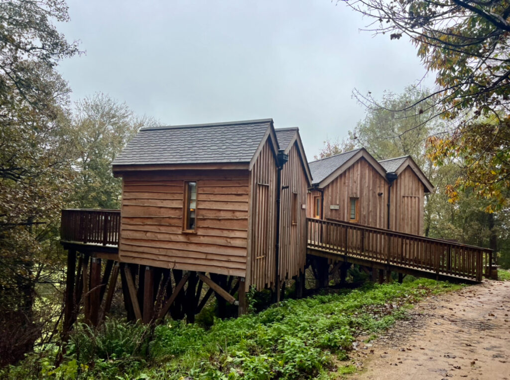 A luxury eco Tree house stay on the edge of the Peak District